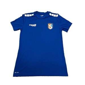 Capelli Sport SC/SC Swan Crest Custom Soccer Jersey Royal Blue